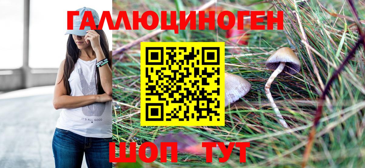 Галлюциногенные грибы мицелий Заволжье