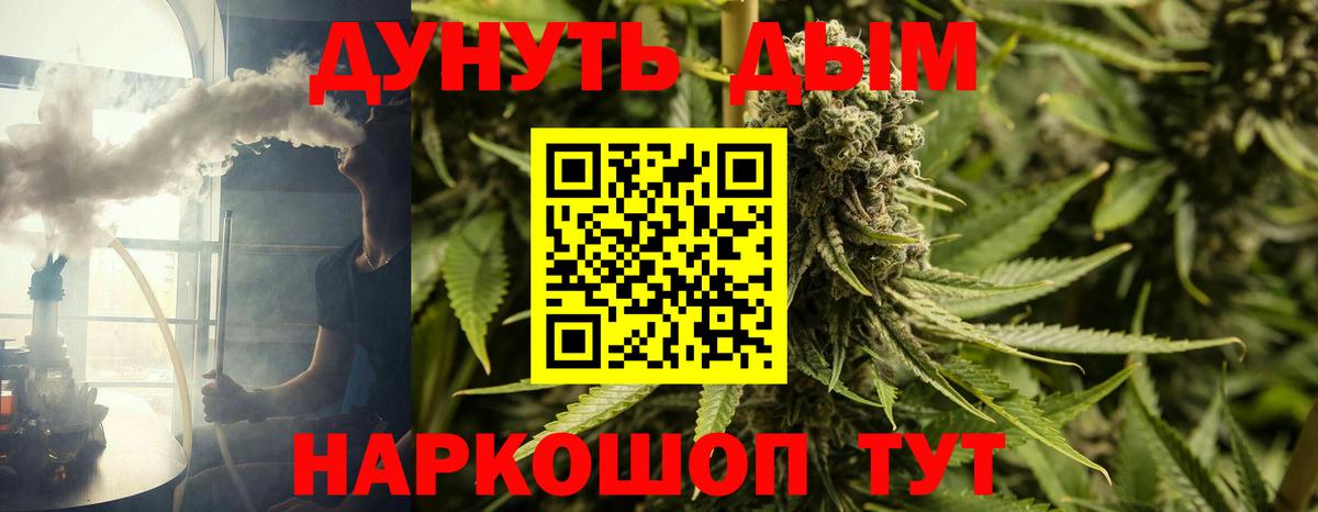 Марихуана SATIVA & INDICA Заволжье